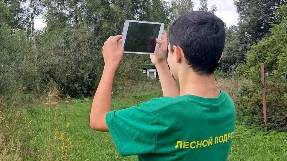 Фото: ГКУ МО «Мособллес»