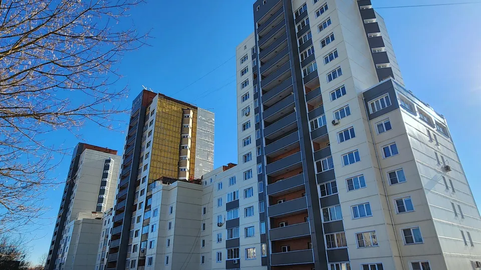 Фото: Дмитрий Алексеенко