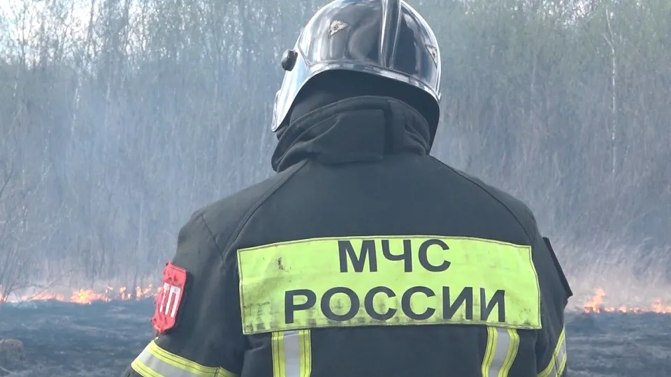 Фото: МедиаБанк Подмосковья/Наталия Надточая