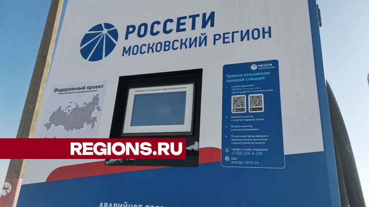 Фото: Дарья Кургузова