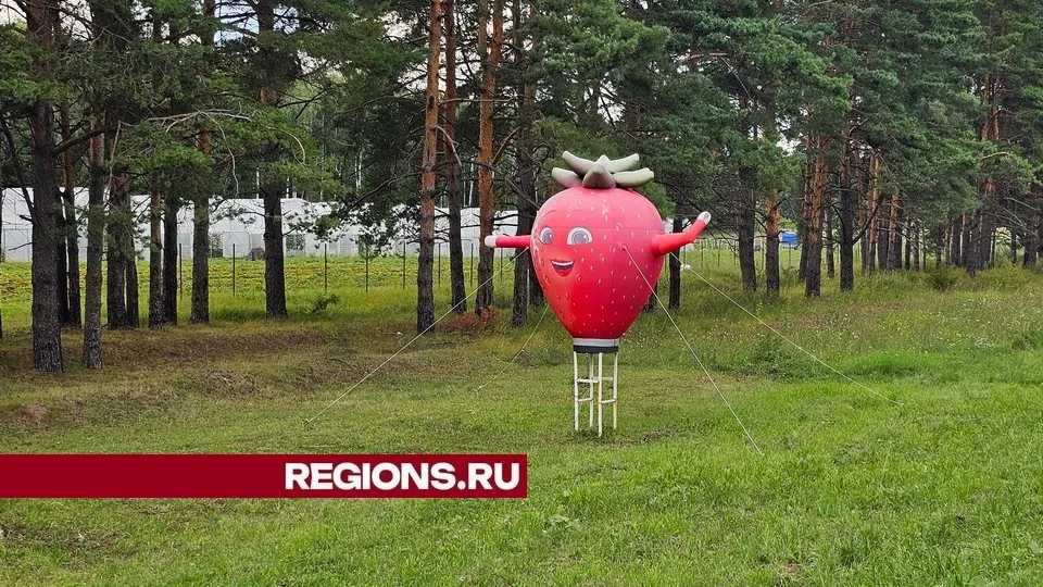 Фото: REGIONS/Александр Дрожжин