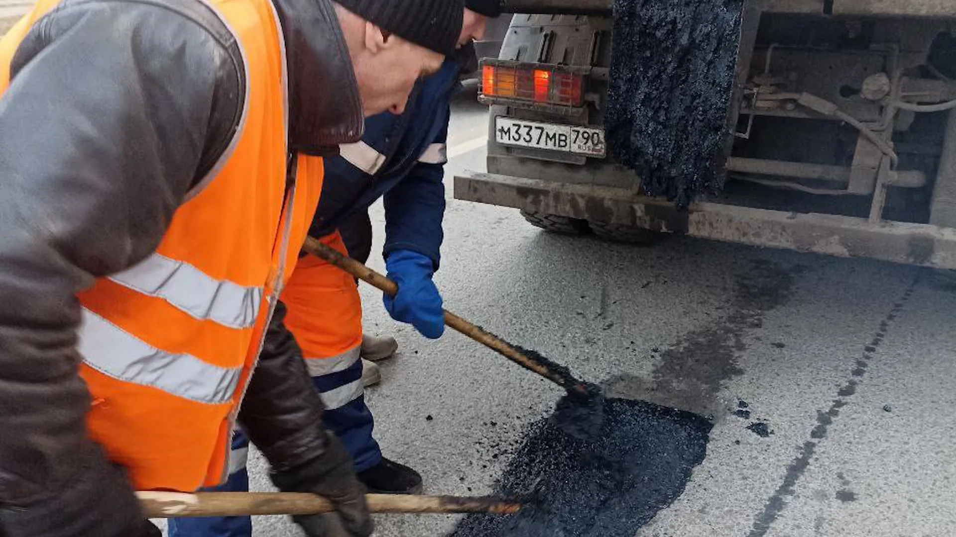 Фото: Светлана Плотникова