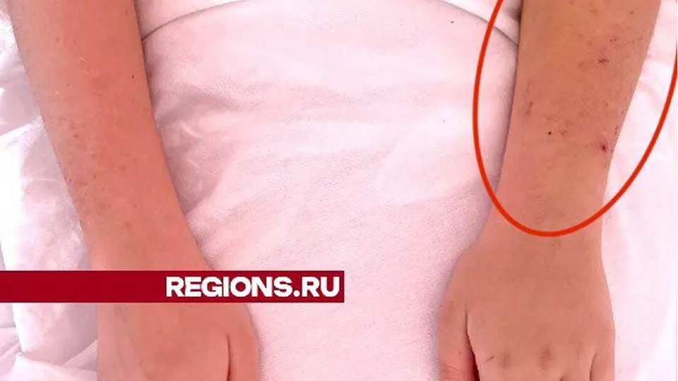 Фото:&nbsp; МОЦОМД