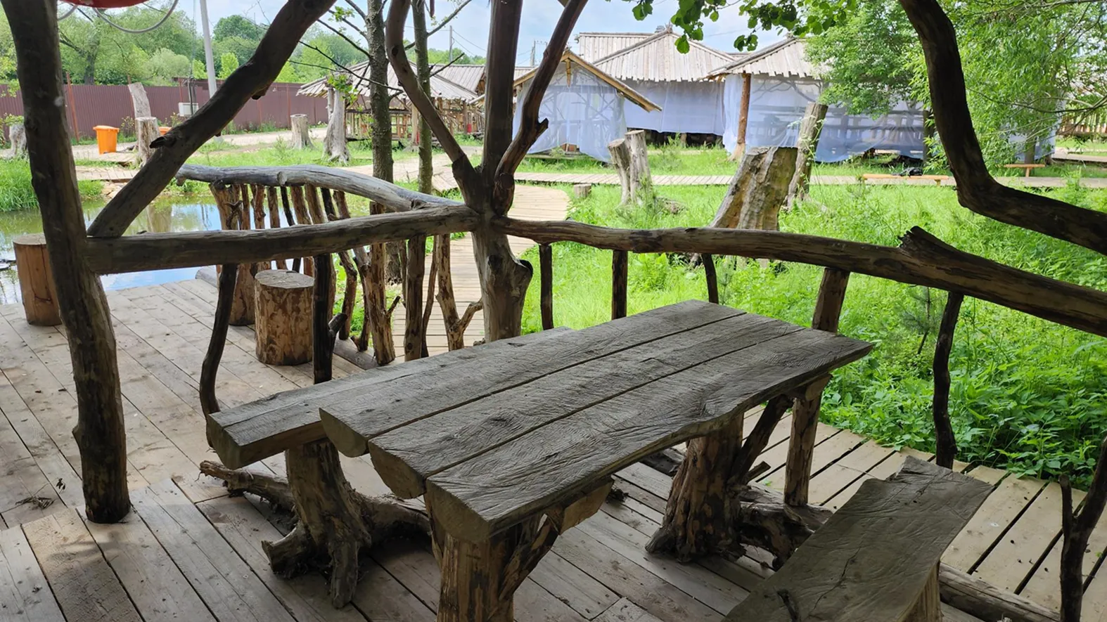 Фото: REGIONS/Александр Степушкин
