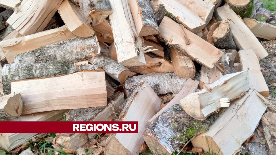 Фото: REGIONS/Василий Тремасов
