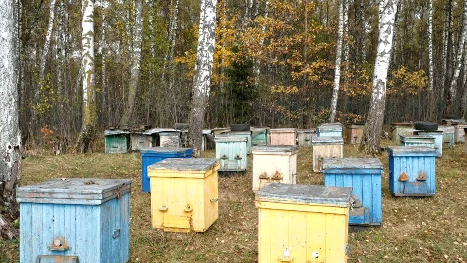 Фото: пресс-служба Администрации г. о. Красногорск
