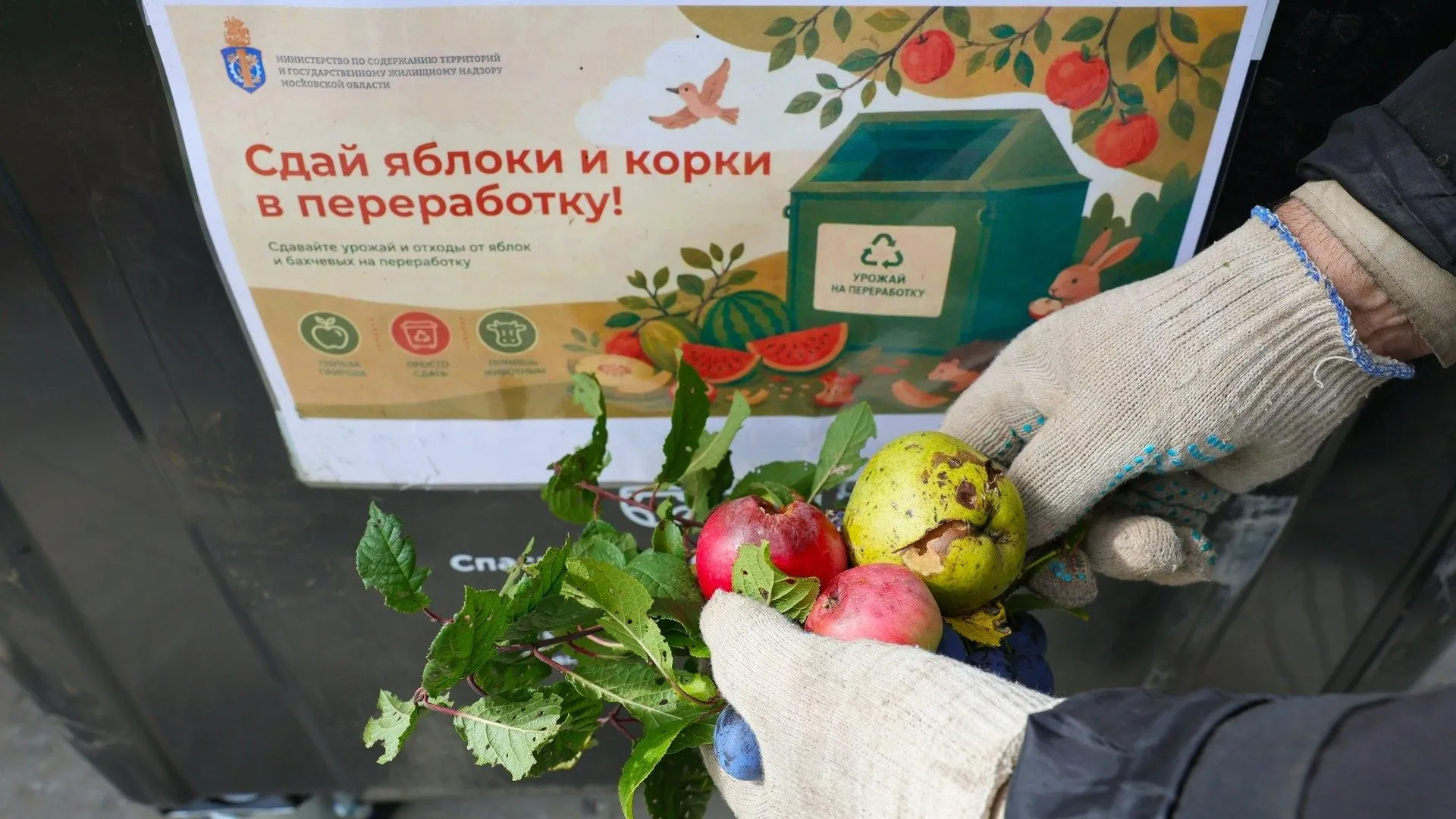 Картинка