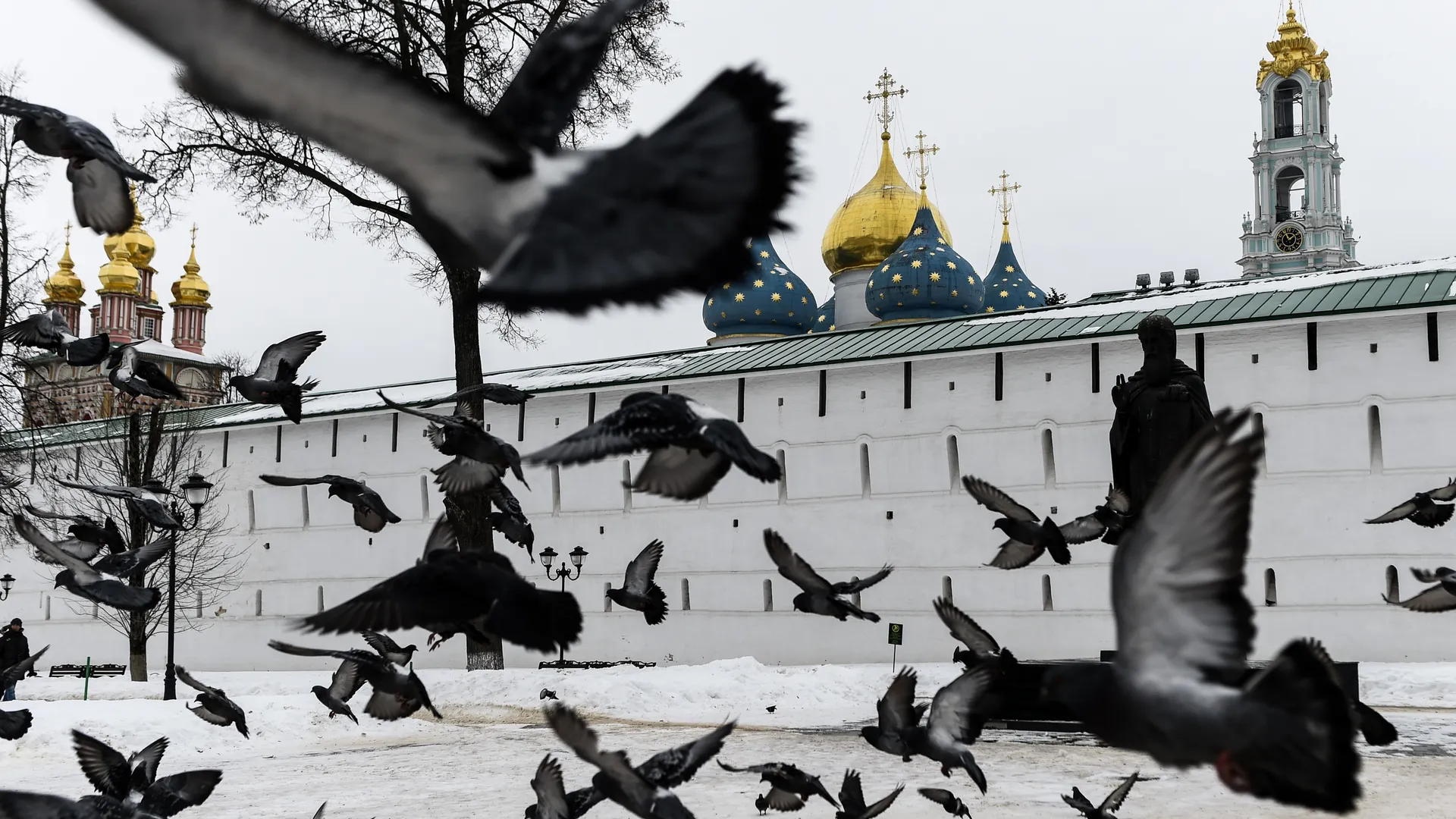 Фото: медиасток.рф