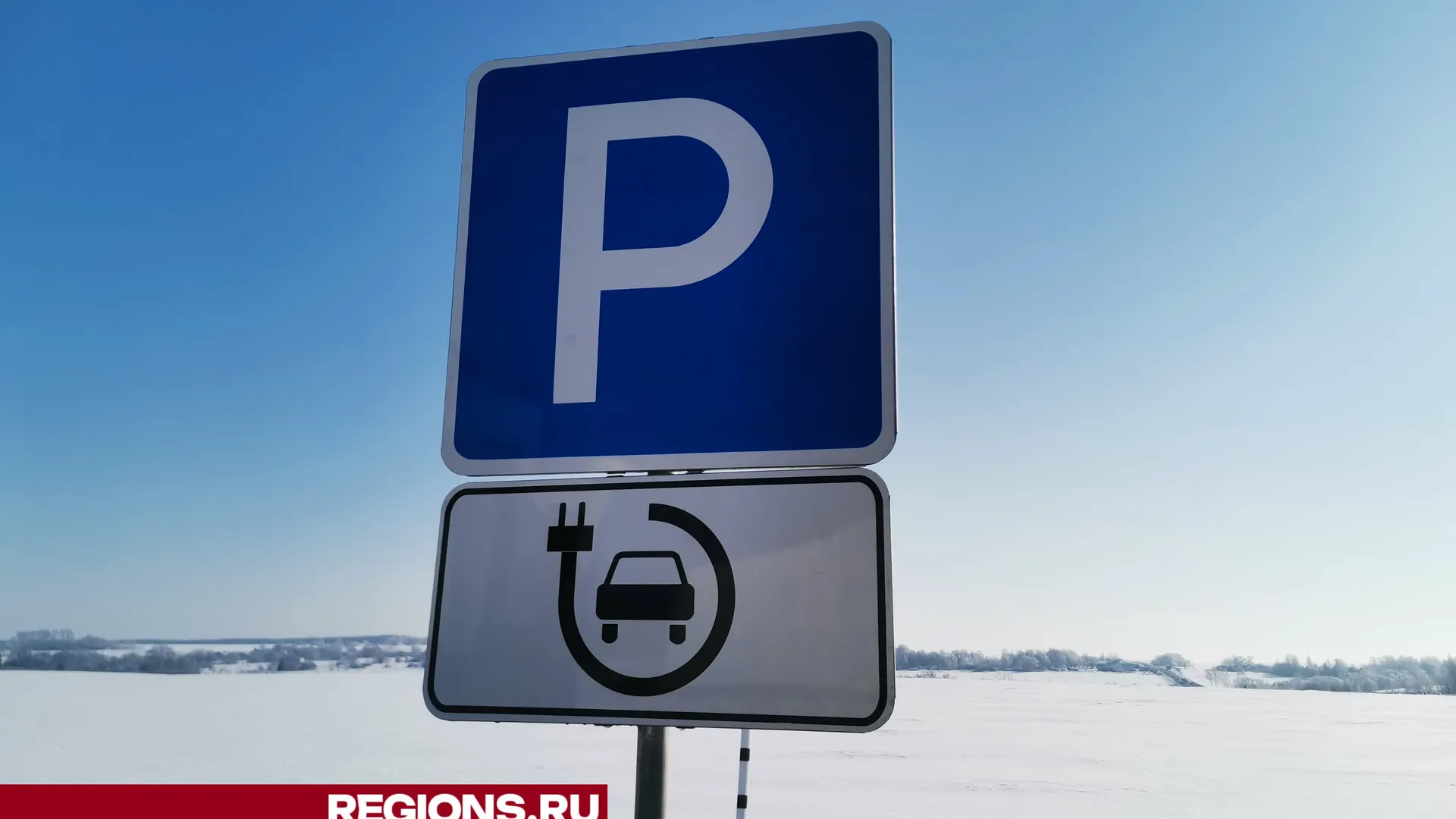 Дарья Кургузова