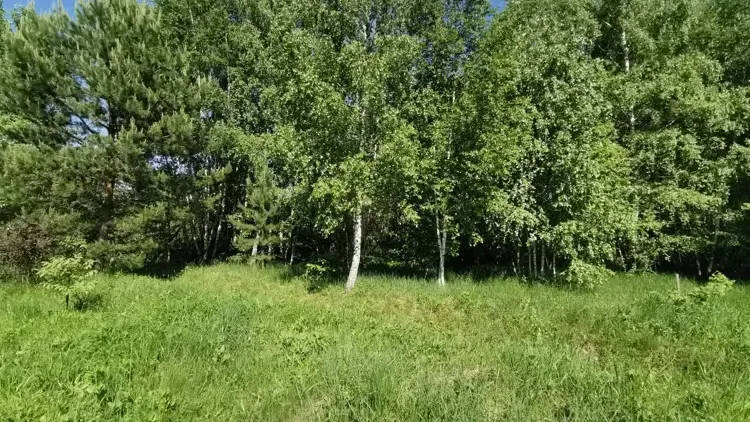 Участок на торгах в Коломне