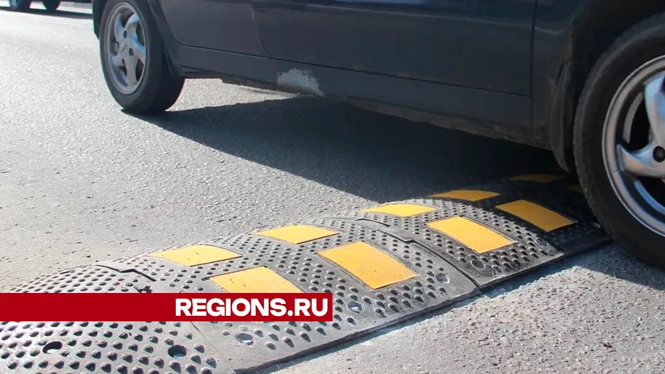 Фото: REGIONS/Василий Тремасов
