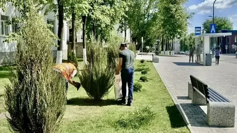 Картинка