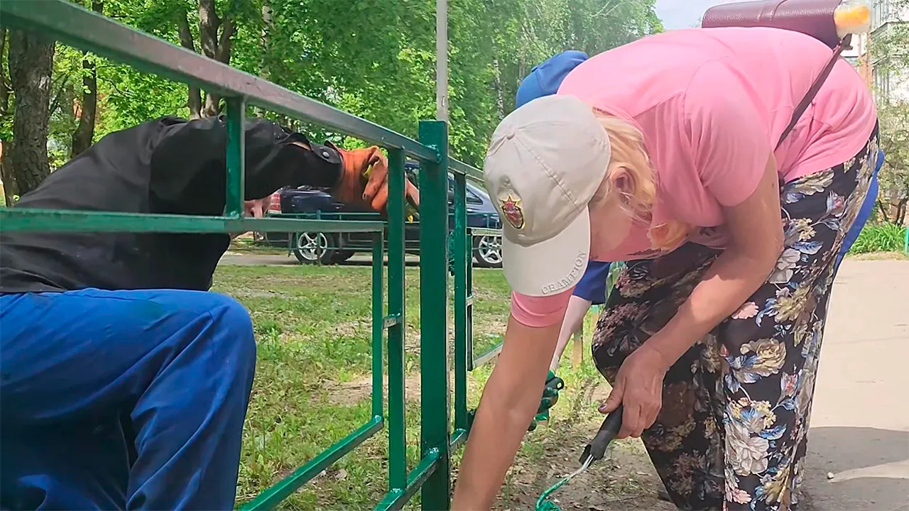 Картинка