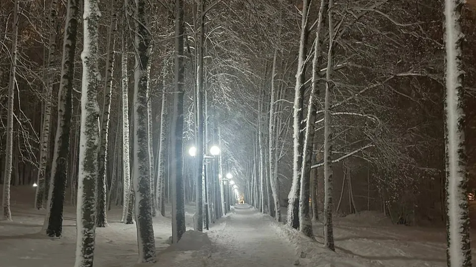 Фото: REGIONS/Александра Серова