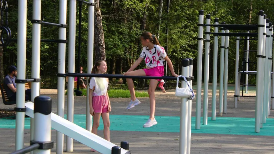 МБУ «Дирекция парков Одинцовского городского округа»