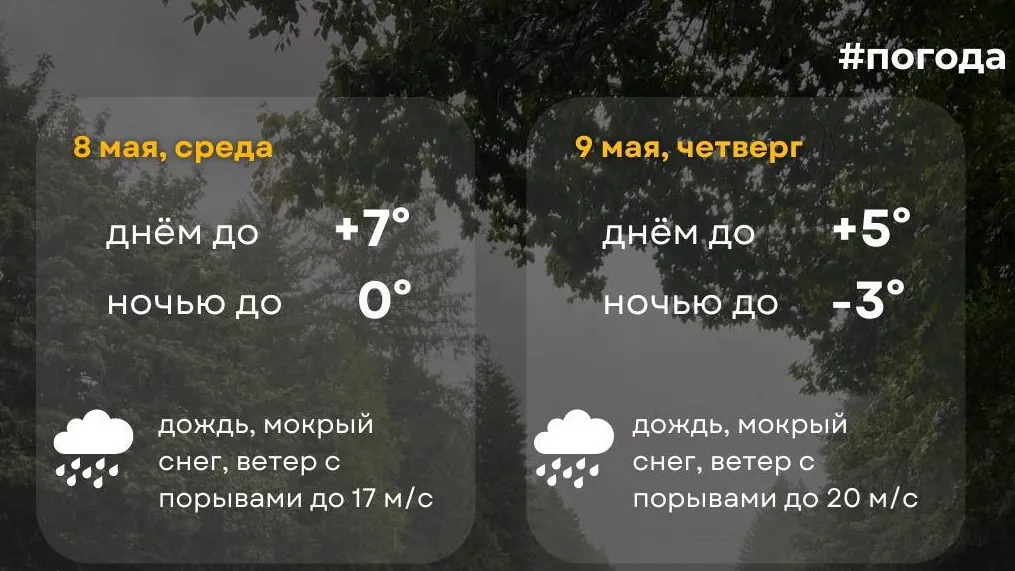 Фото: пресс-служба министерства транспорта и дорожной инфраструктуры Московской области
