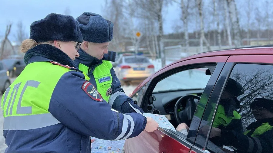 Фото: Госавтоинспекция Дмитровского городского округа.
