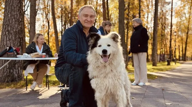 Картинка