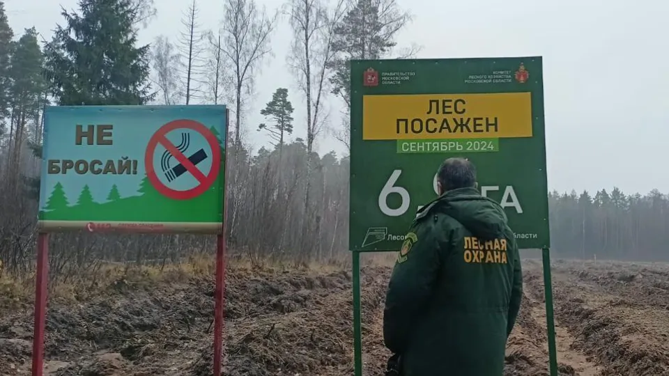 Фото: Комитет лесного хозяйства МО
