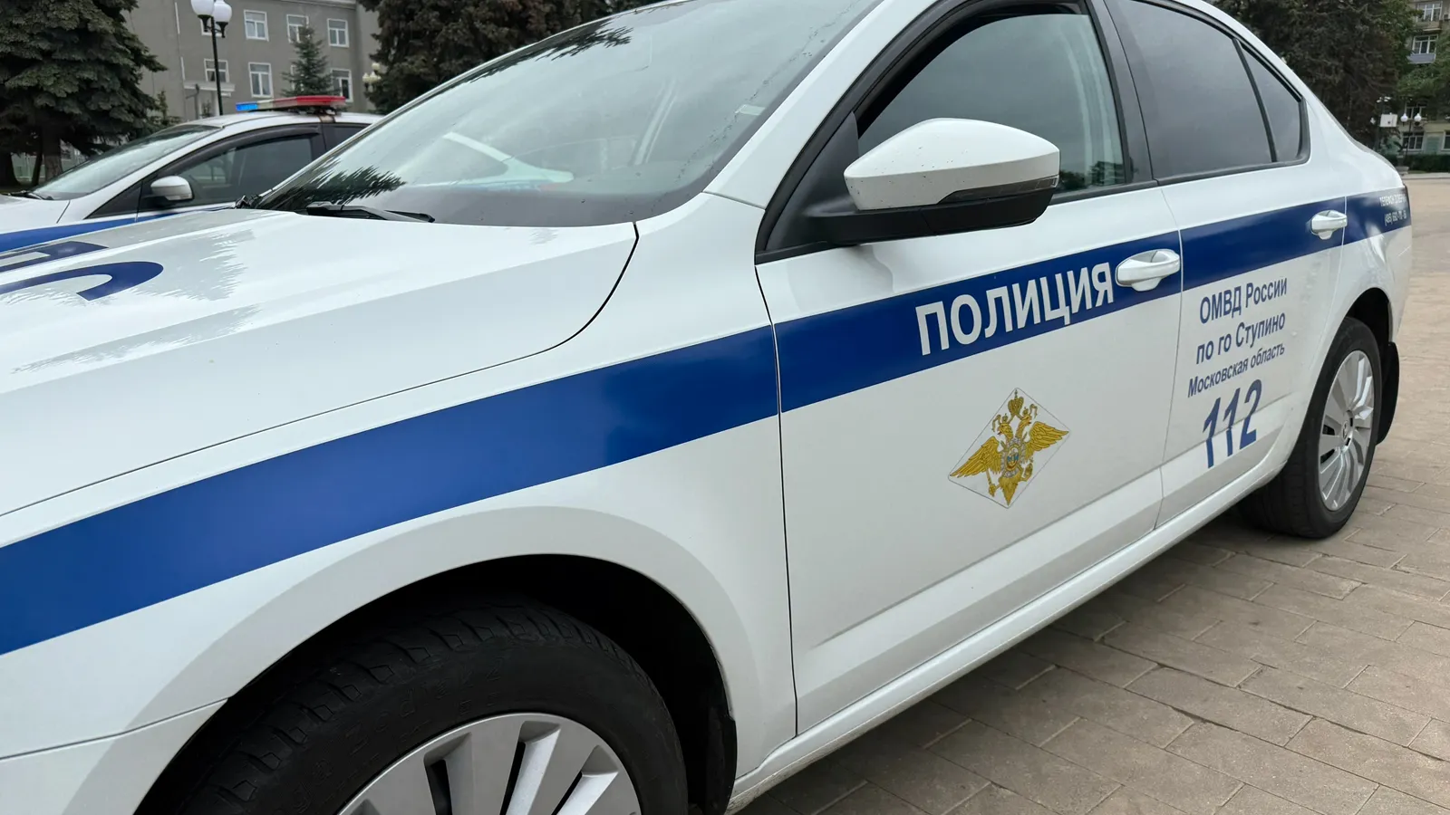 Фото: пресс-служба ОМВД России по г.о. Ступино