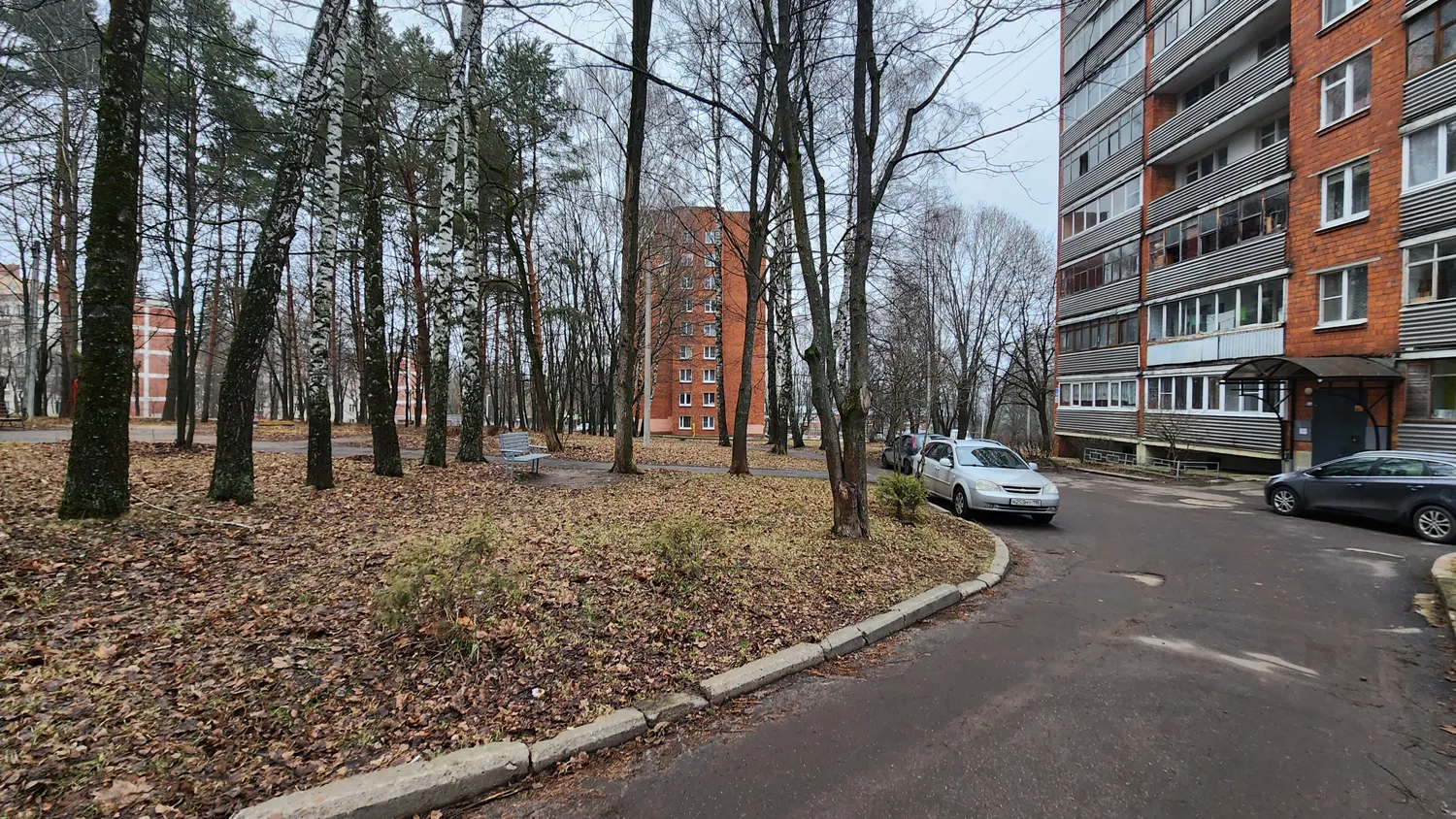 Фото: МедиаБанк Подмосковья/Мария Панина