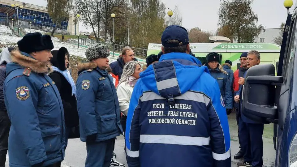 Фото:&nbsp;Министерство сельского хозяйства и продовольствия Московской области