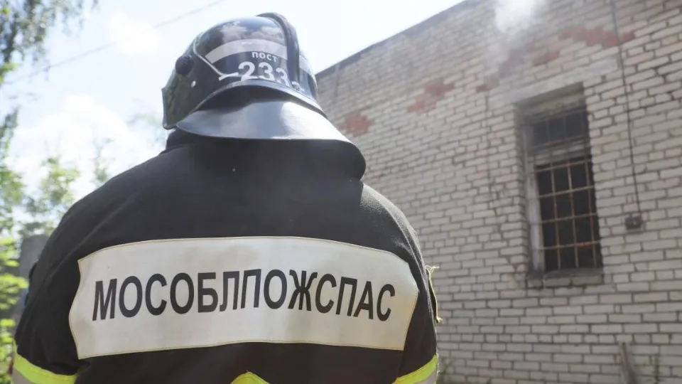 Фото: Пресс-служба администрации Сергиево-Посадского городского округа