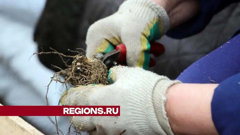 Фото: Максим Лысов