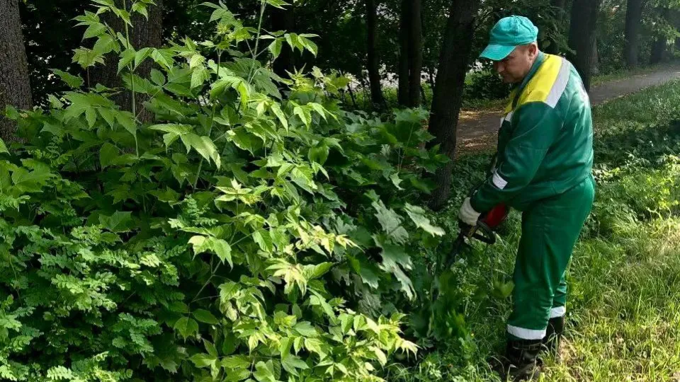 Фото: Министерство по содержанию территорий и государственному жилищному надзору МО