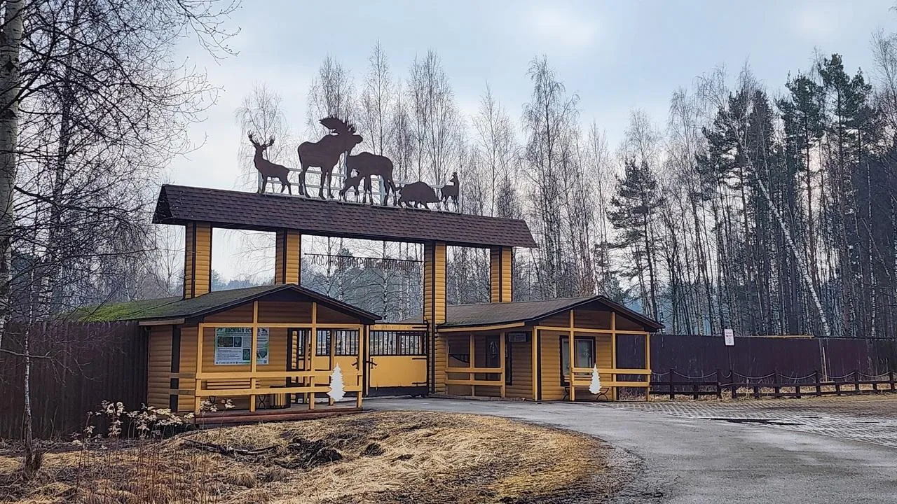 Картинка