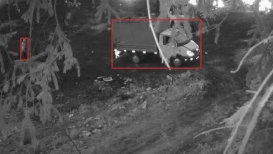Фото: Комитет лесного хозяйства Московской области