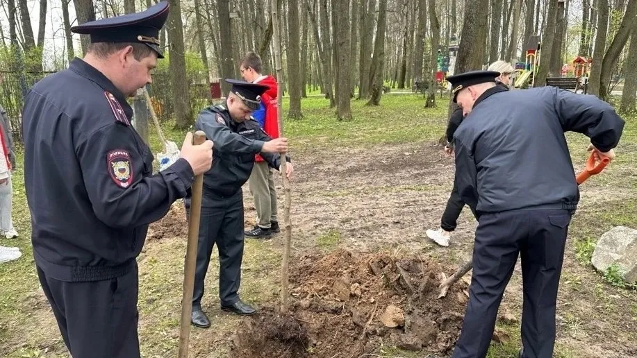 Фото: ОМВД России по г.о. Лотошино