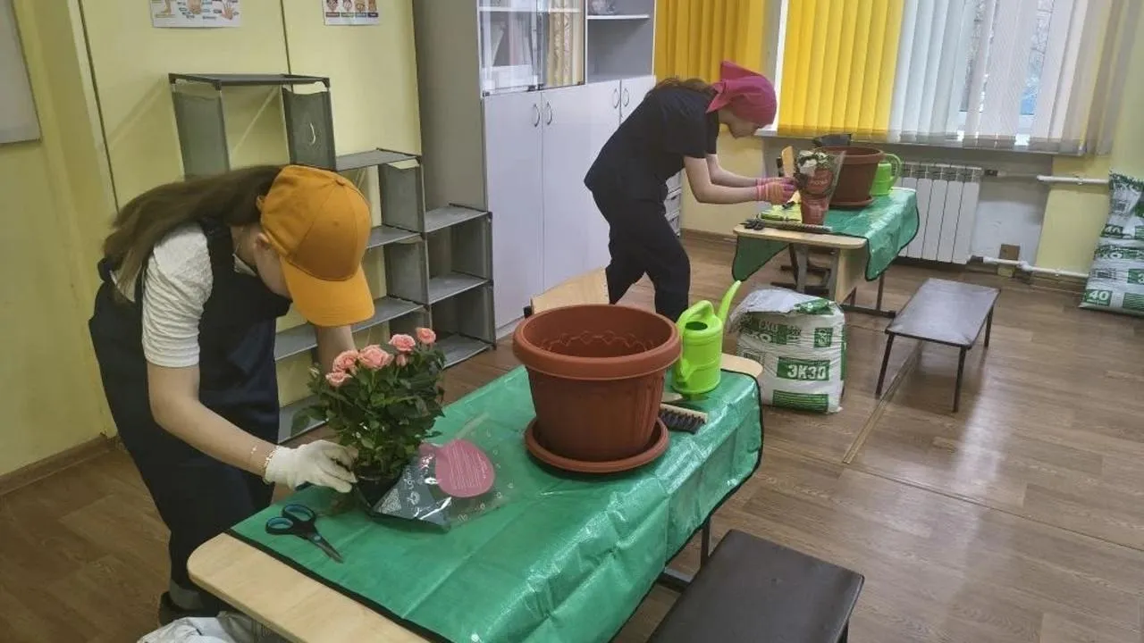 Картинка