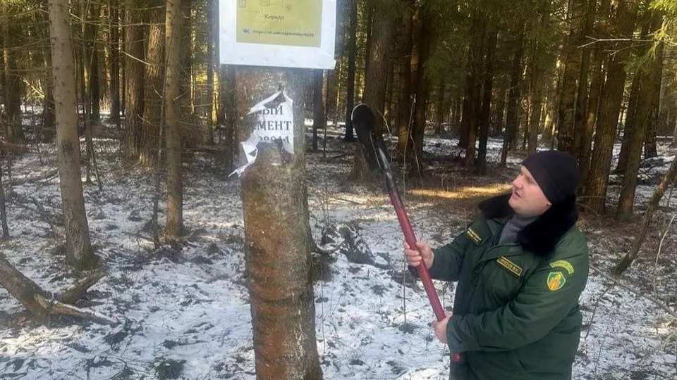 Фото: Комитет лесного хозяйства Московской области