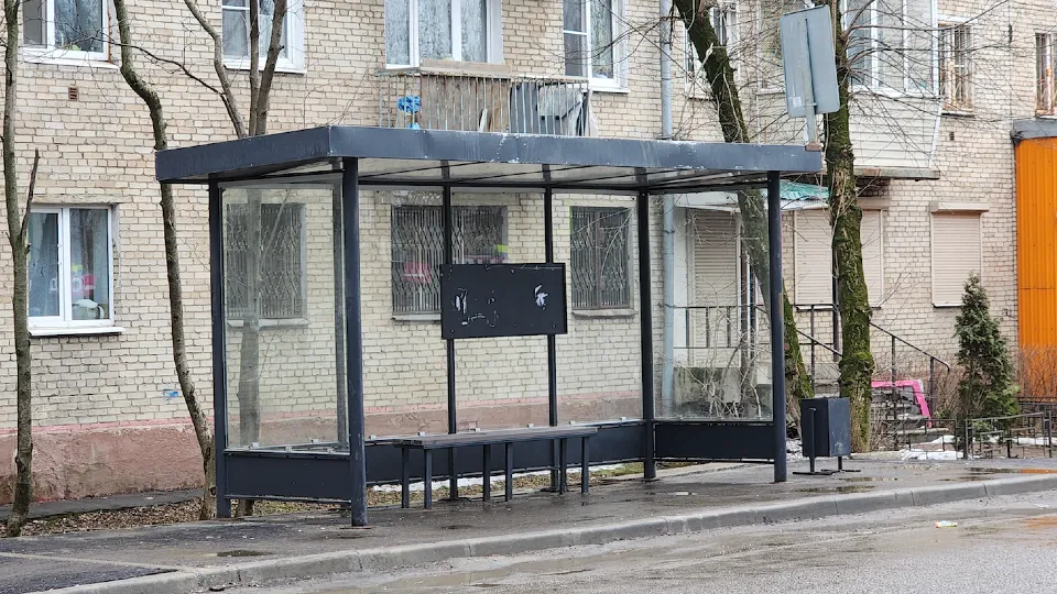 Фото: МедиаБанк Подмосковья/Ольга Шеметова