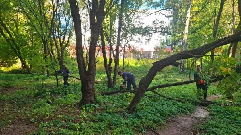Картинка