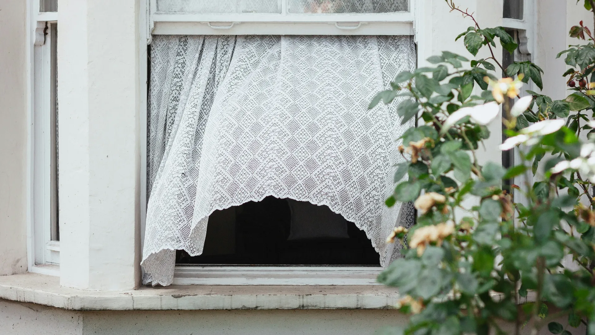Фото: unsplash.com