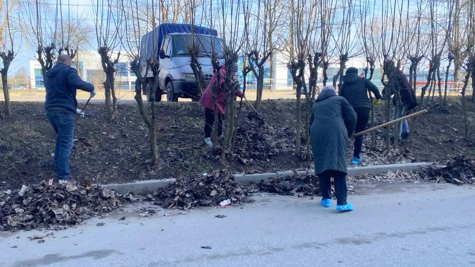 Фото: Можайская библиотека