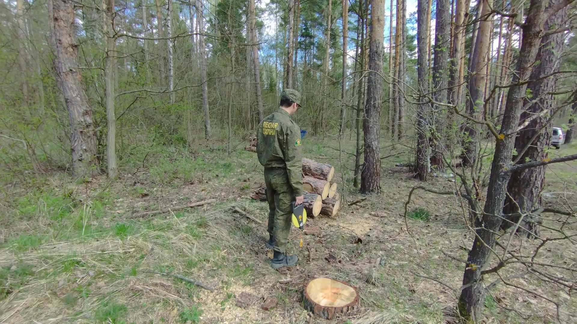 Фото: Комитет лесного хозяйства Московской области