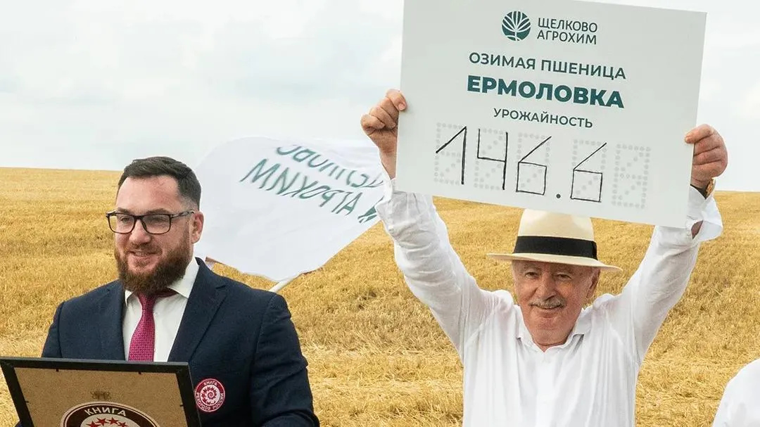 Картинка