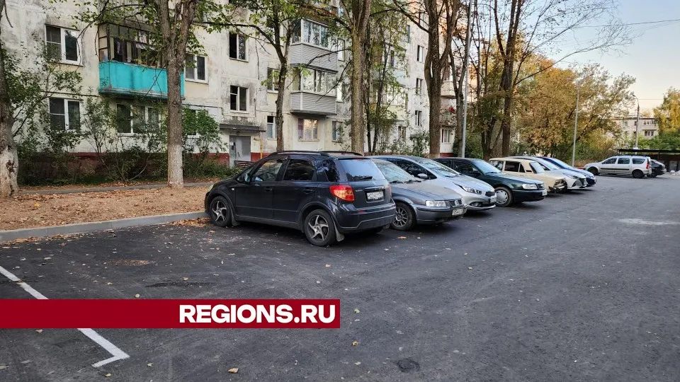 Фото: Дмитрий Алексеенко