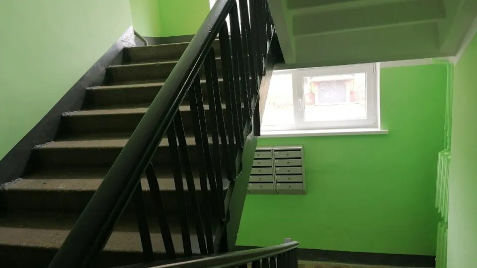 Фото: МедиаБанк Подмосковья/Роман Савельев