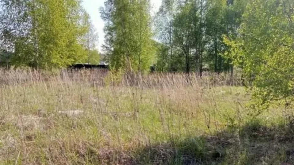 Фото: Комитет по конкурентной политике МО