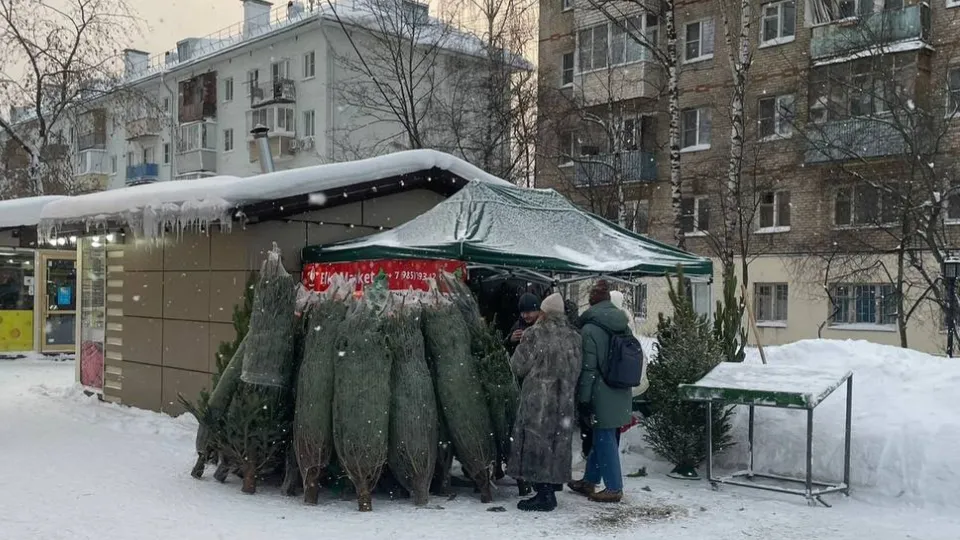 Фото: пресс-служба администрации г.о. Лобня