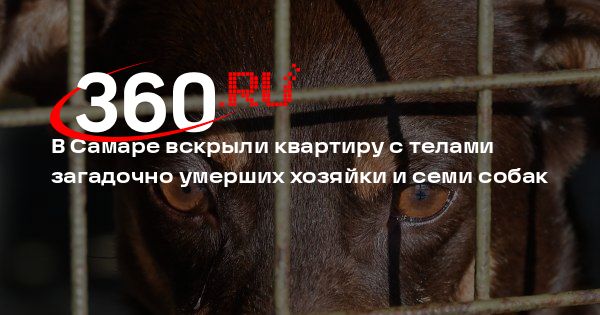 В Самаре вскрыли квартиру с телами загадочно умерших хозяйки и семи собак