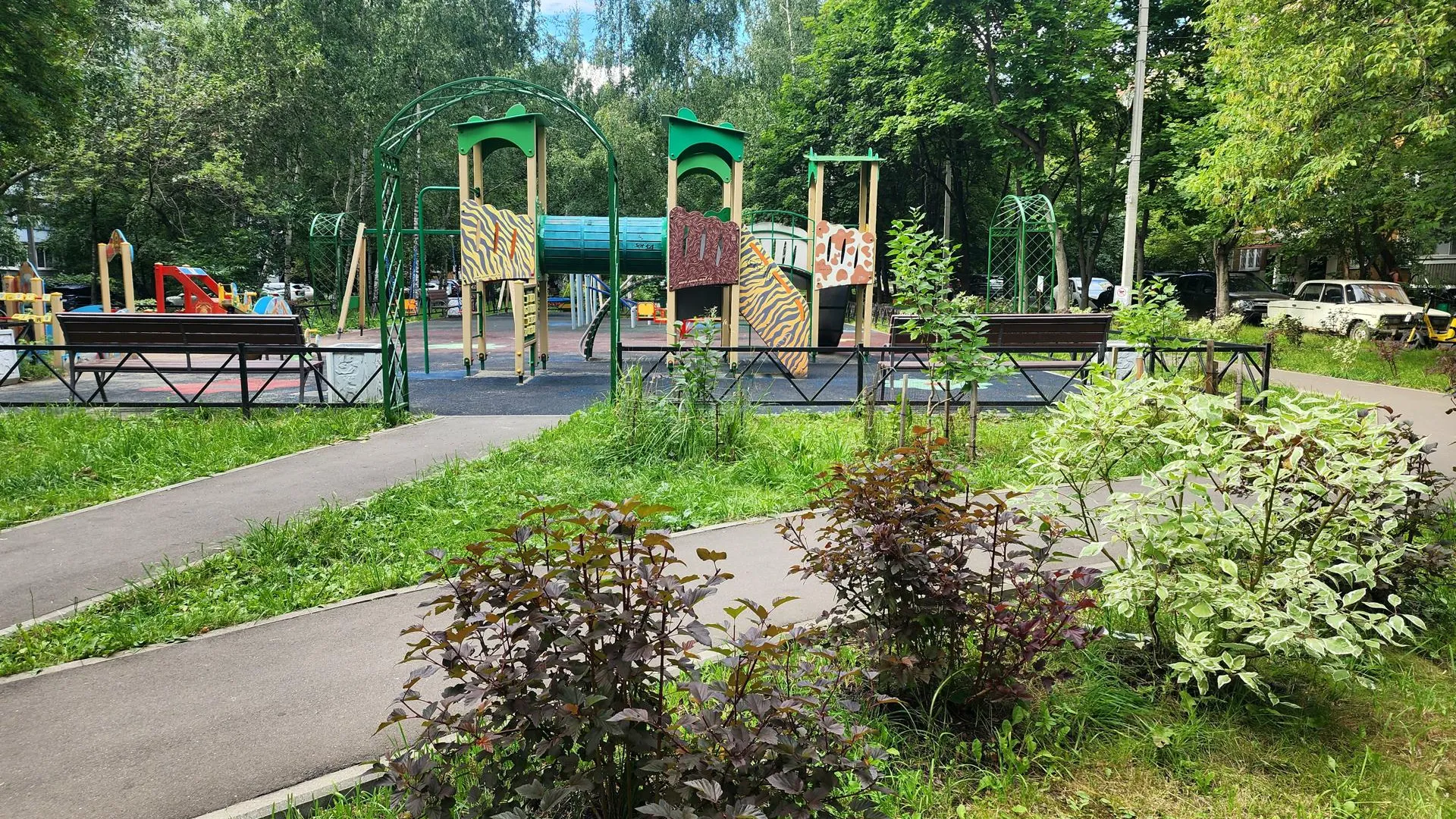 Картинка