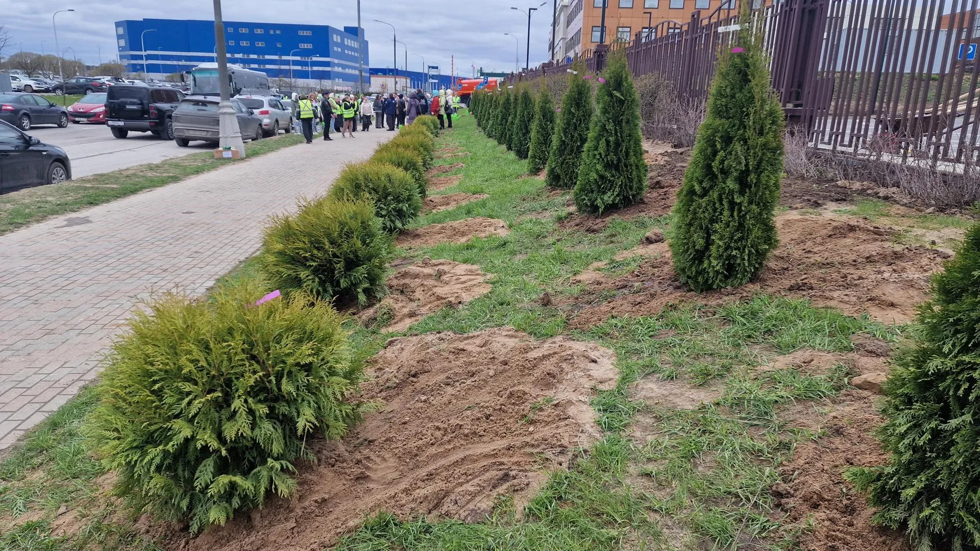 Картинка