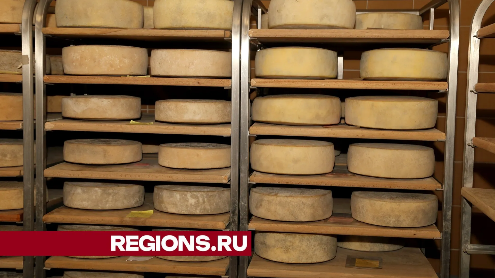 Фото Александра Дрожжина