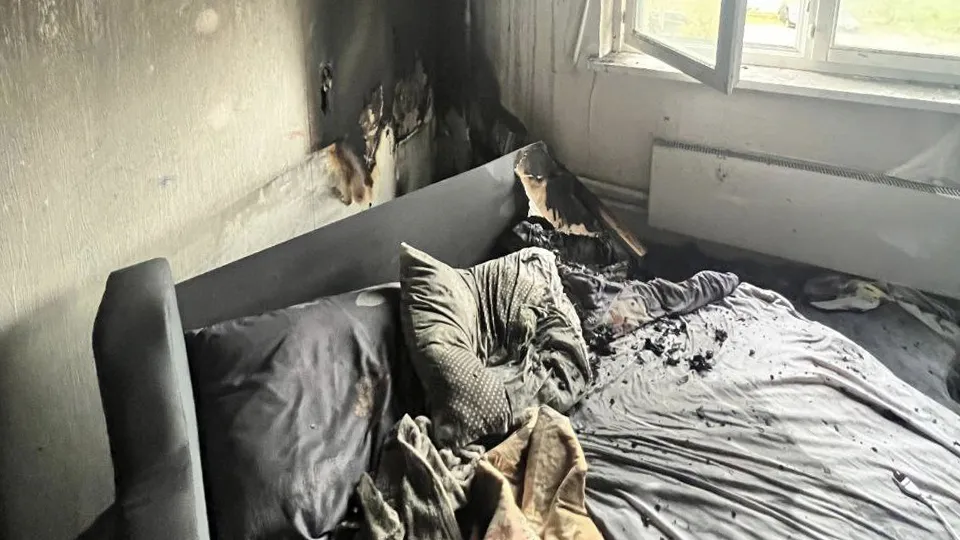 Фото: пресс-служба прокуратуры Московской области