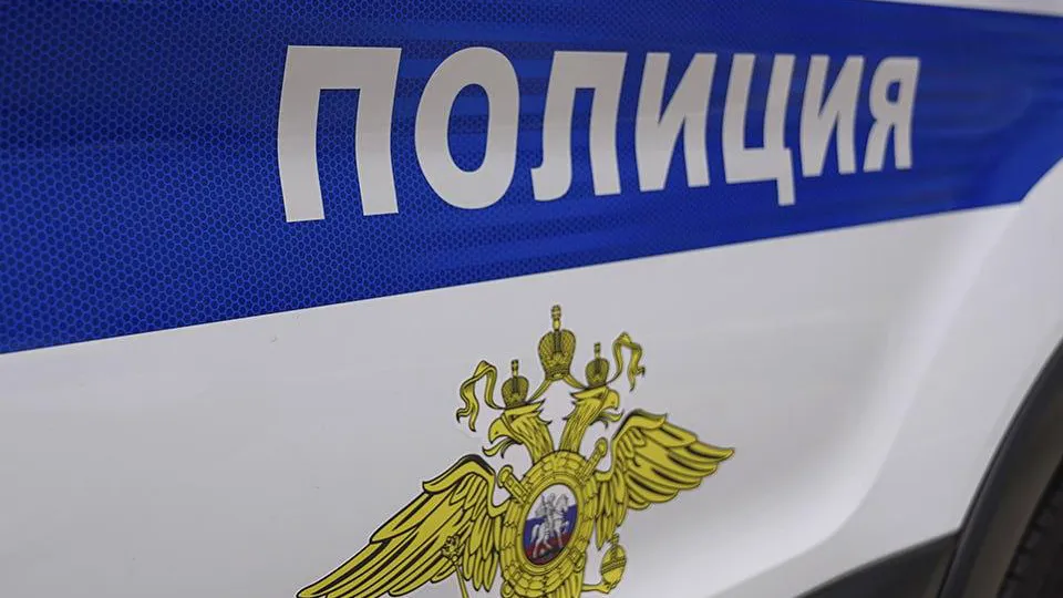 Фото: МУ МВД России «Щелковское»